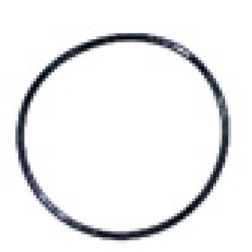 O-ring for Waterway 2" valve  805-0143