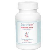 Red Marine Algae - Gigartina One