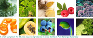 Are Supplements Necessary?