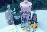 Lacking Energy? Try Herbal Tonics