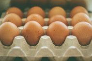 Decoding egg carton labels