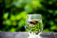 5 Herbal Teas That Will Make You Healthier