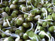 Don't Doubt the Sprouts