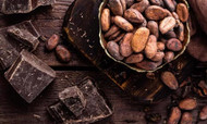 Raw Chocolate by Sacred Chocolate: Interview with Founder, Steven Adler