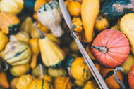 3 Health Tips to Boost Well-being in Fall