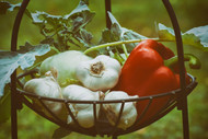 Cold and Flu Prevention