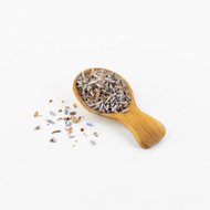 Gut Health Starts With Tea: How Organic Loose Leaf Tea Supports Your Microbiome Naturally