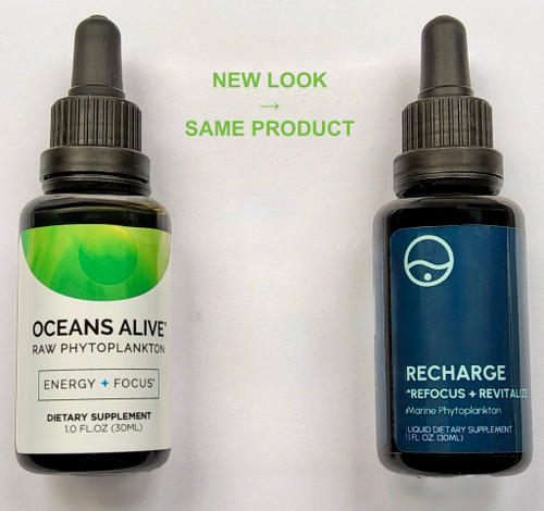 Oceans Alive (Recharge) Marine Phytoplankton drops, 1 oz (30 mL)