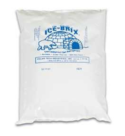 Ice Pack for Cold Shipping