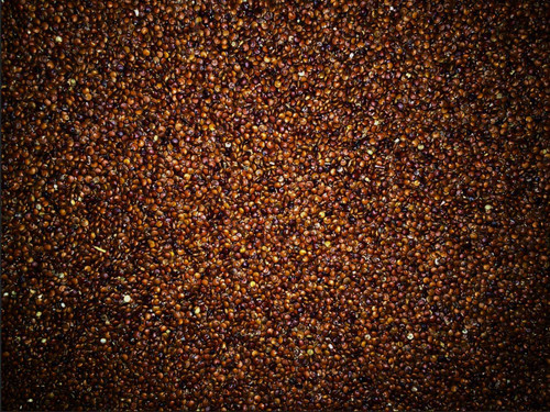 Quinoa, Red, Organic, Heirloom Premium Gourmet, 12.5 lb (5.67 kg) - Zebra Organics