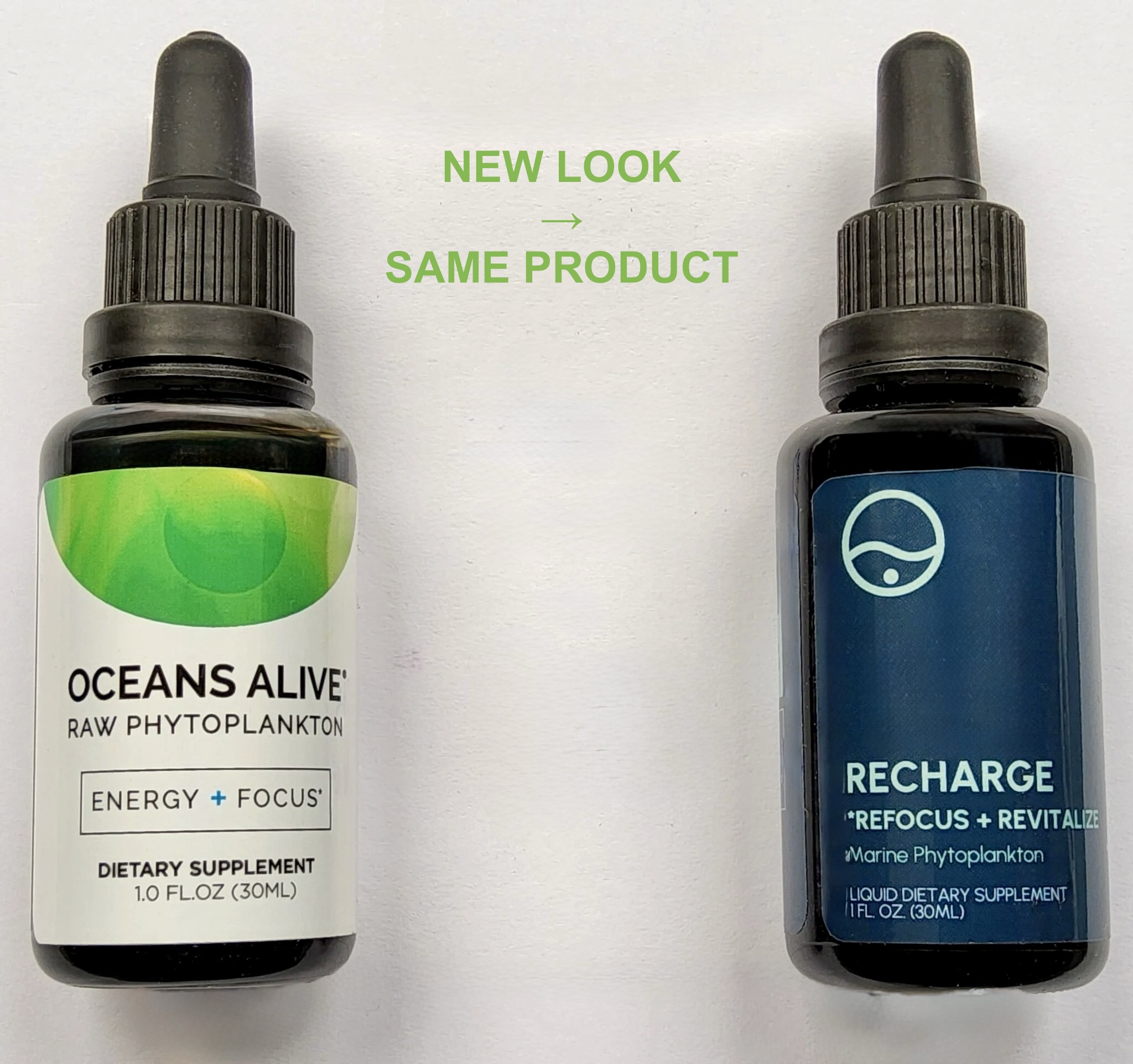 Marine Phytoplankton Oceans Alive 2.0, 1 oz (30 mL)