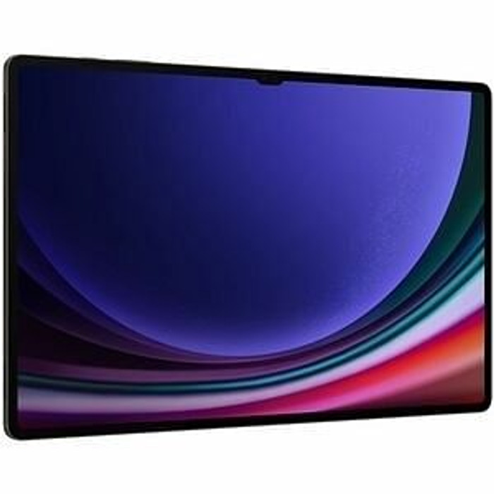 Galaxy Tab S9 Ultra WiFi Gray P595-SMX910NZAEXAR