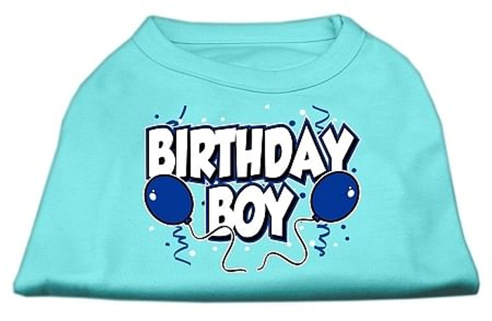 Birthday Boy Screen Print Shirts Aqua Med S528-51-05 MDAQ