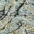 9' X 12' Teal Blue Black And Ivory Abstract Washable Indoor Outdoor Area Rug