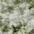 9' X 12' Sage And Ivory Oriental Washable Area Rug With UV Protection 9' X 12' Sage And Ivory Oriental Washable Area Rug With UV Protection