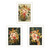 Set Of Three Romantic Autumn 1 White Framed Wall Art Set Of Three Romantic Autumn 1 White Framed Wall Art