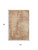 3' X 5' Terra Cotta And Copper Abstract Washable Area Rug With UV Protection 3' X 5' Terra Cotta And Copper Abstract Washable Area Rug With UV Protection