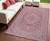 4' X 6' Fuchsia And Light Gray Medallion Indoor Outdoor Area Rug 4' X 6' Fuchsia And Light Gray Medallion Indoor Outdoor Area Rug