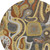 8' Coffee And Chocolate Round Abstract Washable Indoor Outdoor Area Rug 8' Coffee And Chocolate Round Abstract Washable Indoor Outdoor Area Rug