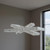 Silver And Clear Three Light Crystal LED Dimmable Chandelier Silver And Clear Three Light Crystal LED Dimmable Chandelier
