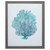 27" X 33" Distressed Wood Toned Frame Aqua Coral On White I 27" X 33" Distressed Wood Toned Frame Aqua Coral On White I