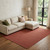 10' X 14' Red Hand Woven Area Rug
