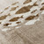 9' X 12' Taupe Brown And Khaki Nautical Washable Indoor Outdoor Area Rug