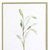Set Of Two Olive Leaves White Framed Print Wall Art