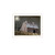 Set Of Two Autumn Moonlit Nights White Framed Wall Art