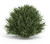 Set of Six 8" Green Artificial