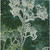 10' X 14' Teal Blue And Green Floral Washable Indoor Outdoor Area Rug 10' X 14' Teal Blue And Green Floral Washable Indoor Outdoor Area Rug