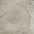 9' X 12' Beige And Ivory Abstract Washable Area Rug With UV Protection