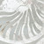 Set Of Two Nautilus Shell Distressed White Framed Wall Art