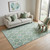 5' X 8' Sage Ivory And Teal Ogee Washable Area Rug With UV Protection
