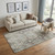 5' X 8' Linen Gray And Silver Abstract Washable Area Rug With UV Protection 5' X 8' Linen Gray And Silver Abstract Washable Area Rug With UV Protection