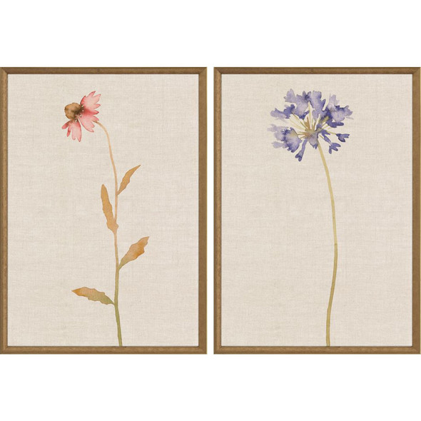 Set Of Two Wild Flourish I Gold Framed Wall Art