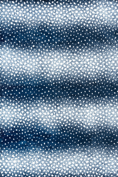 4' X 6' Animal Print Area Rug