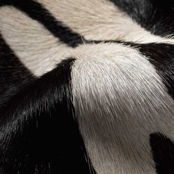 5' X 7' Zebra Stripe Black And White Natural Cowhide Area Rug