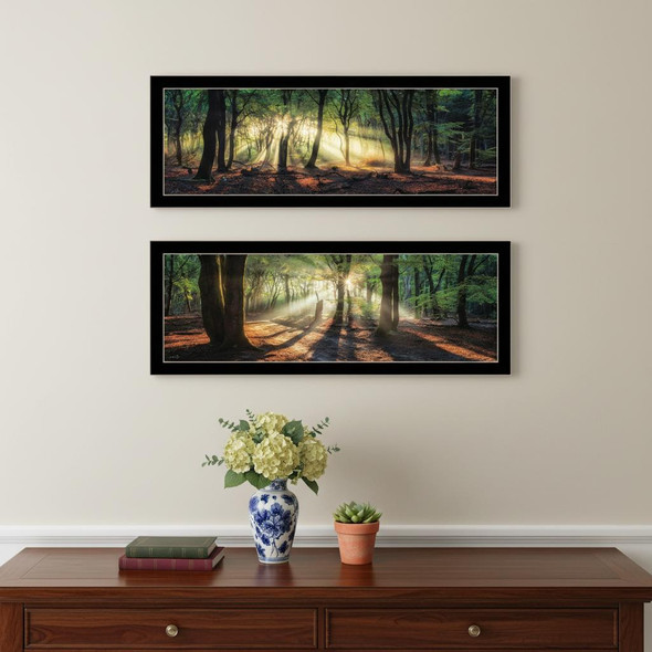 Set Of Two Sun Rays in the Forest Black Framed Wall Art