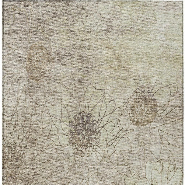 269124598