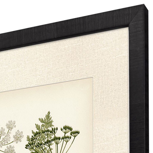Set Of Two Queen's Lace II Brown Framed Wall Art