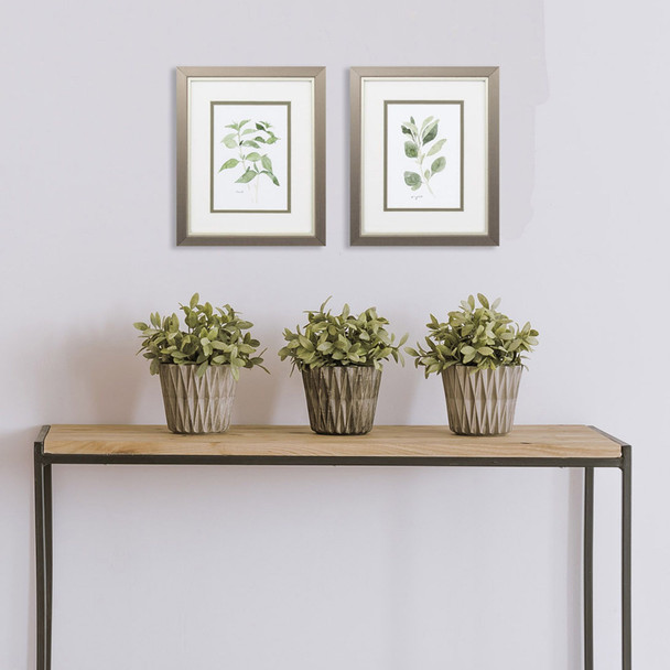 Set Of Two Herb Garden Sketches Silver Framed Wall Art