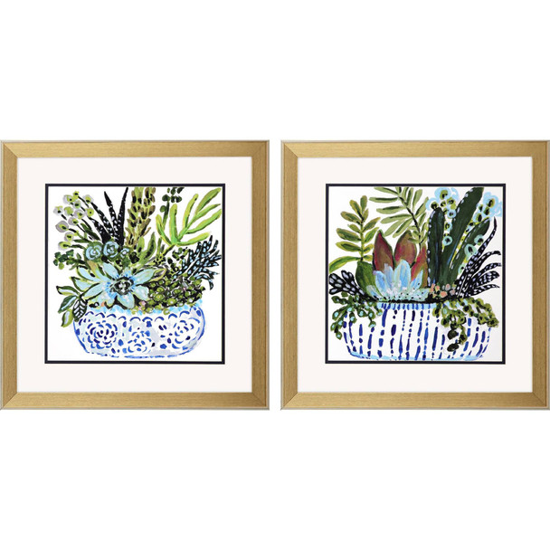 Set Of Two Succulent Garden Gold Framed Wall Art