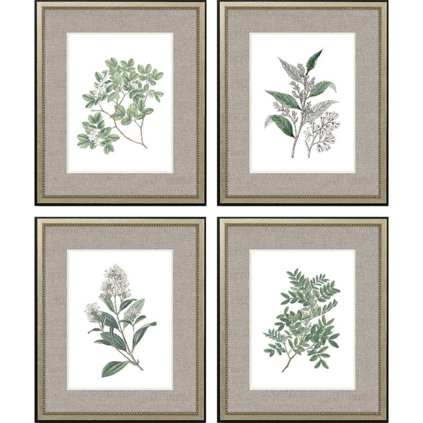 Set Of Four White Flowers Silver Framed Wall Art