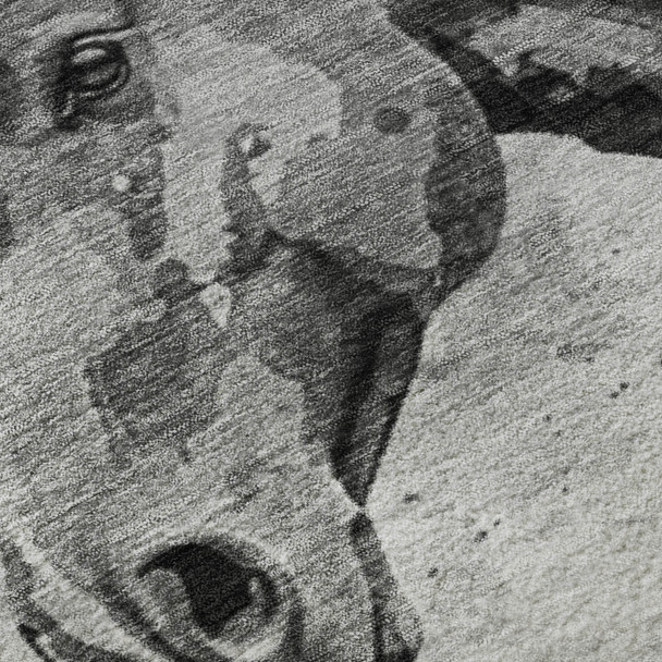 306738347