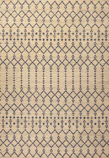4' X 6' Beige And Navy Blue Trellis Indoor Outdoor Area Rug