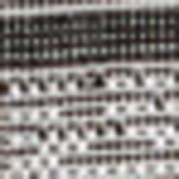 8' X 10' Black And Cream Indoor Outdoor Area Rug