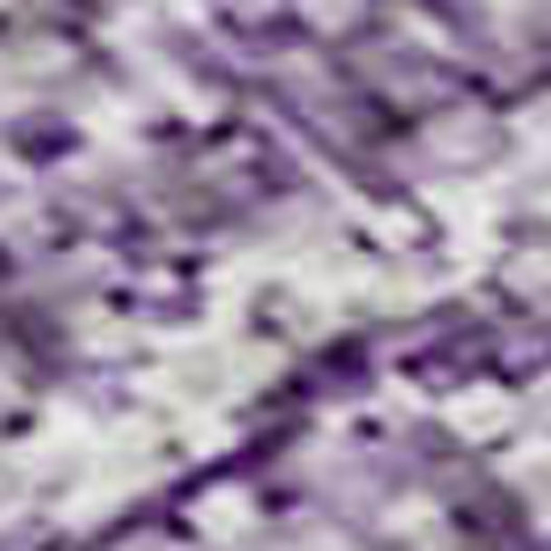 286333879