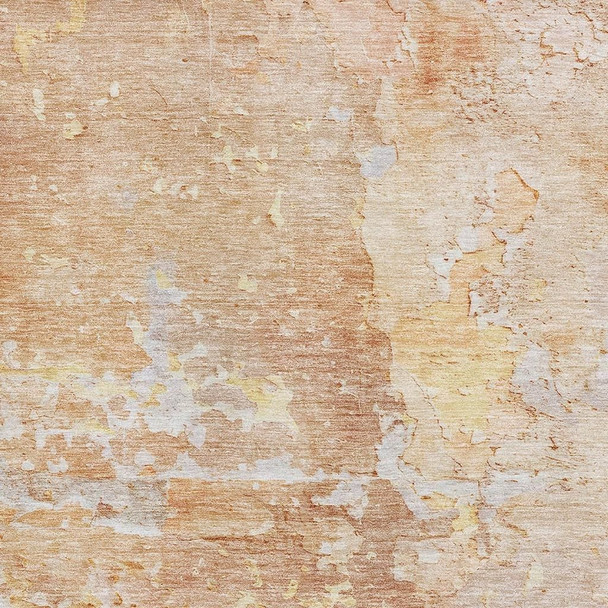 291216978