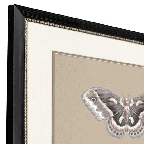Set Of Two Beauty of the Forest Set of Set Black Framed Wall Art